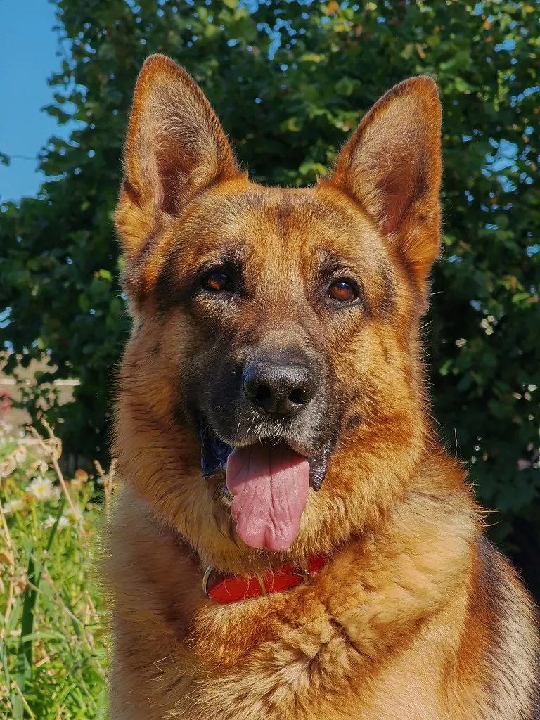 IMG_20200816_180050-02